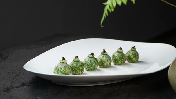 Choix des meilleurs vins français : un voyage au cœur de l'excellence